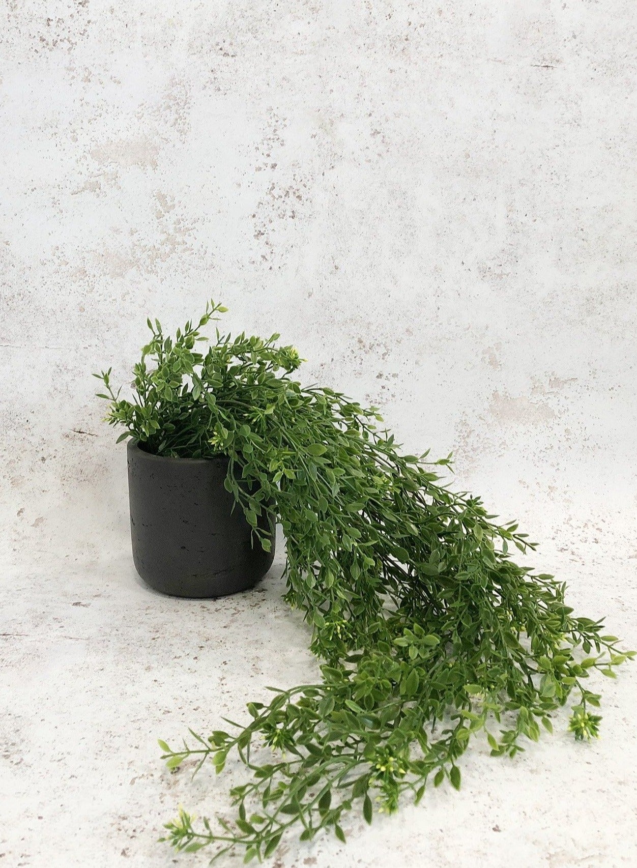 plastic trailing plants Artificial Trailing Boxwood Plant UV Outdoor – Artificial Green