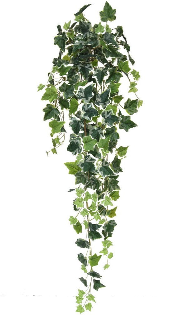 Variegated Faux Trailing English Ivy Bush 1m 