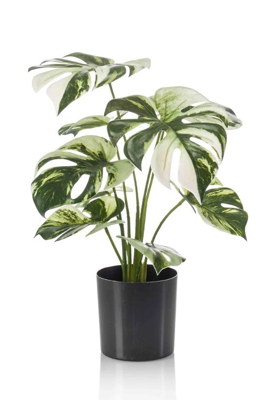 Faux Artificial Variegated Monstera