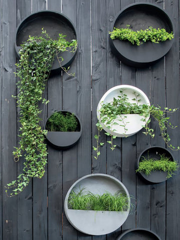 Wally Fibrestone Wall Planters - Artificial green
