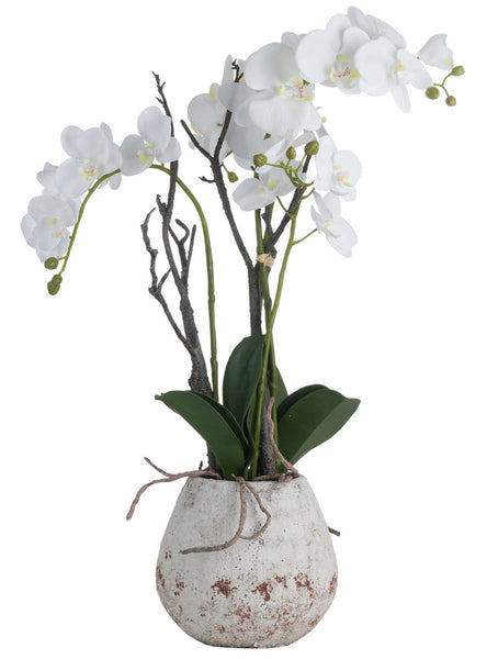 White Artificial Orchid in Rustic Stone Weathered Pot 70cm