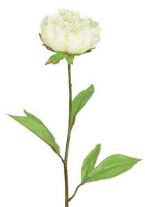 White real touch artificial peony buch of 6 stems