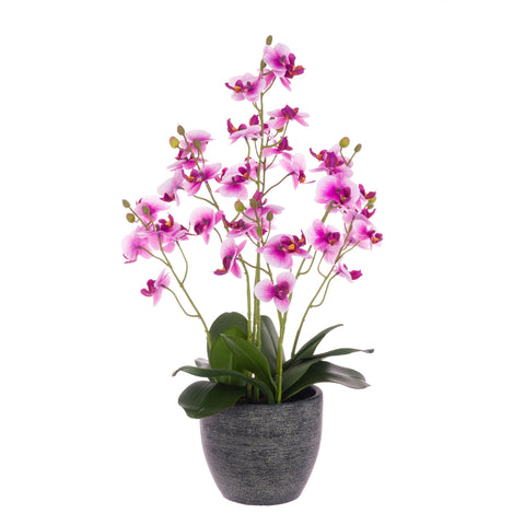 Pink Flowering Orchid 62cm - Artificial Green