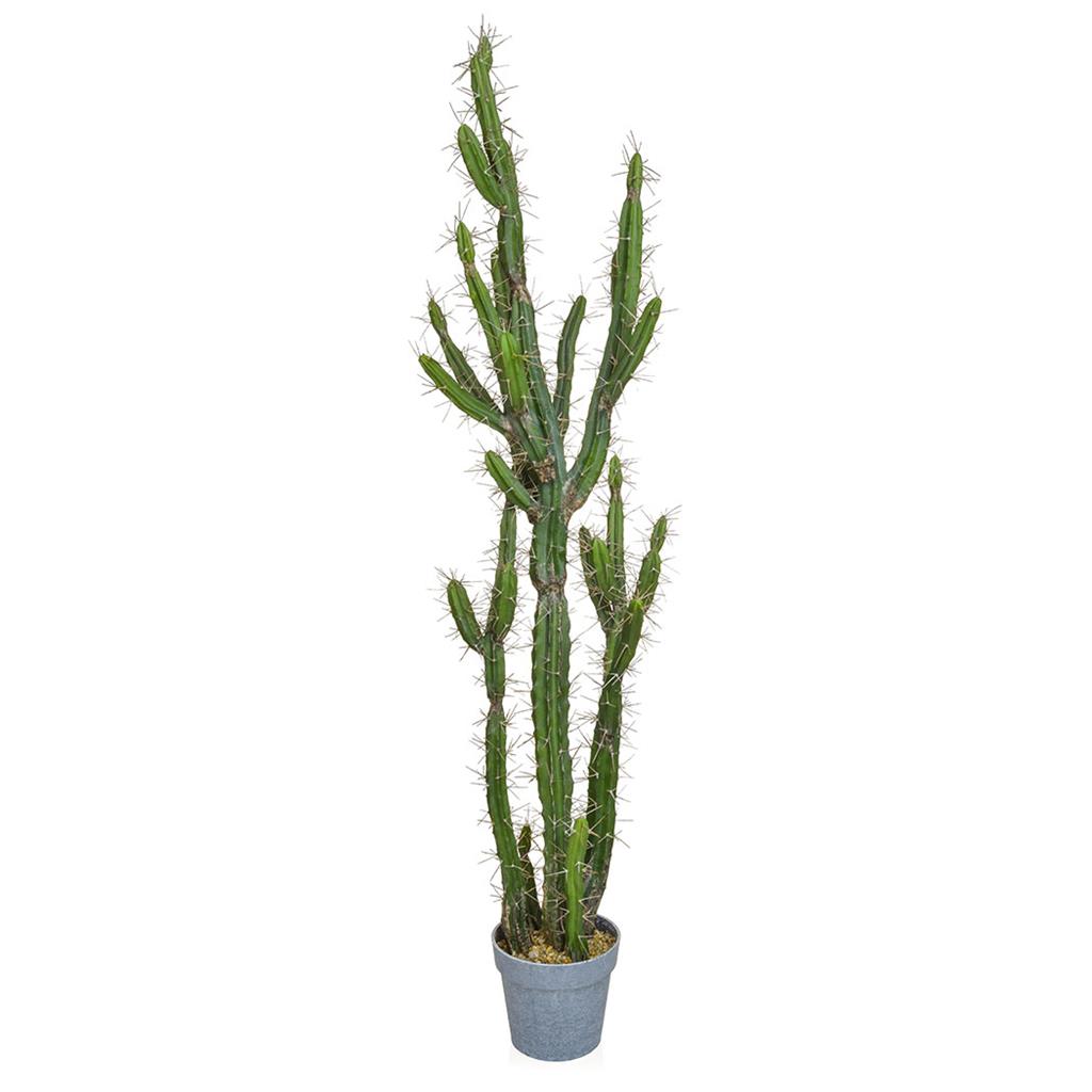 Luxury Faux Cactus - Artificial Green