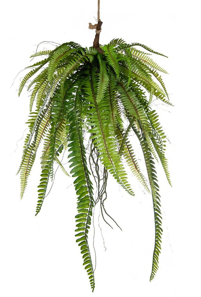 Artificial hanging plant Faux fern on hanging moss ball 60cm - Artificial Green
