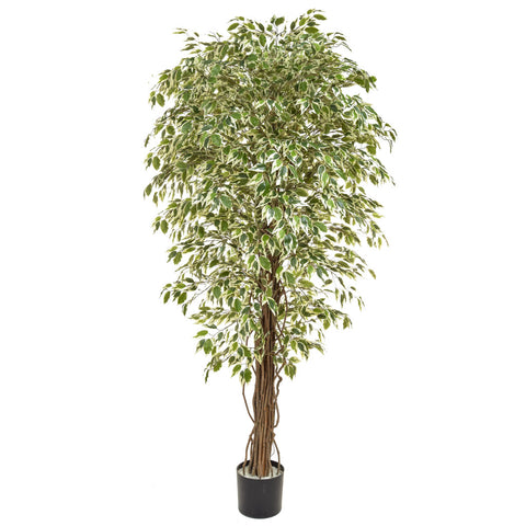 Artificial Ficus Tree 180cm - Artificial Green