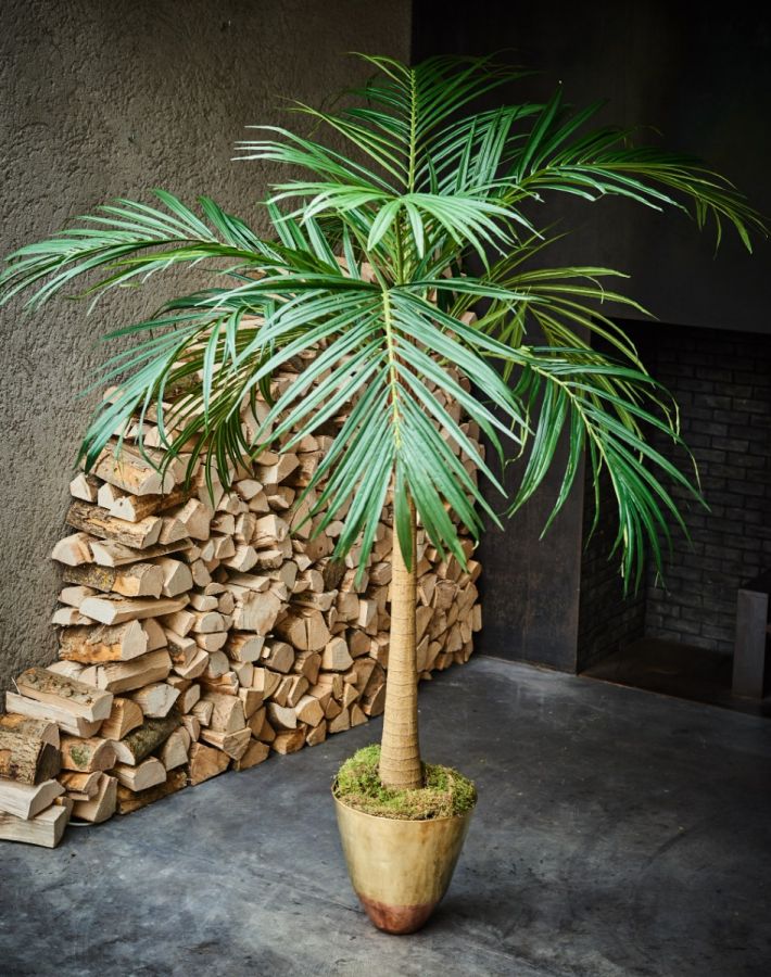 Luxury Waterfall Palm 190cm - Artificial Green