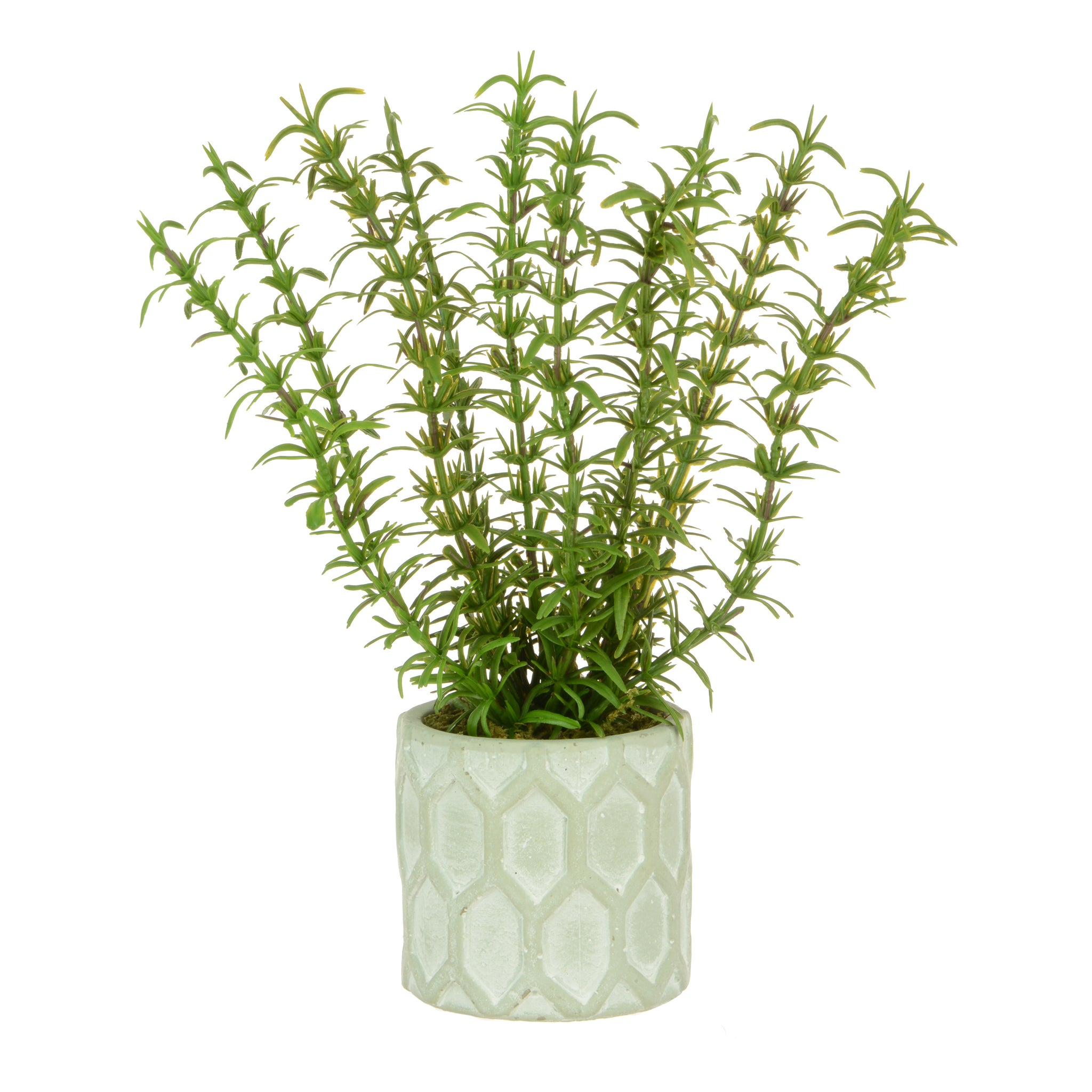 Faux Potted Rosemary Plant 25cm - Artificial Green