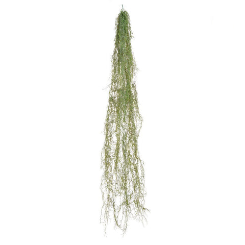 Deluxe Trailing Airplant 152cm - Fire Retardant By Artificial Green