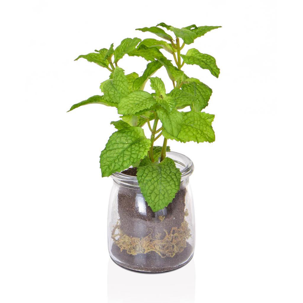 Faux Mint Set In Glass Jar - Artificial Green