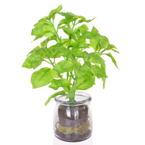 Faux Basil In Glass Jar 24cm - Artificial Green