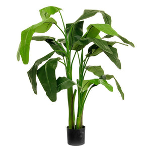 Musa Concinea Potted Plant 125cm - Fire Retardant - Artificial Green