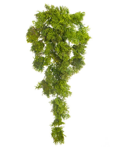 Outdoor Trailing Reindeer Moss UV  pack of 6- Artificial Green