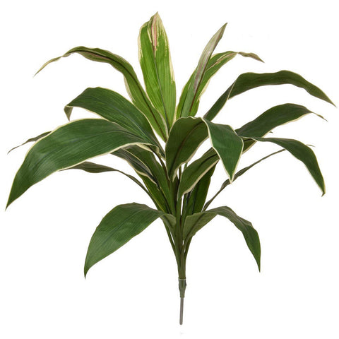 Green Cordyline Plant 62cm - Fire Retardant - Artificial Green