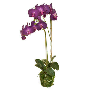 Faux Purple Phalaenopsis 77cm - Artificial Green